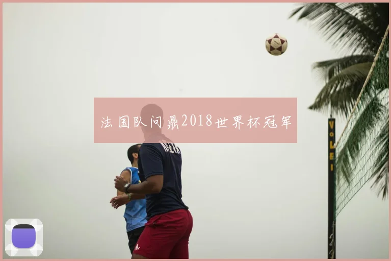 法国队问鼎2018世界杯冠军