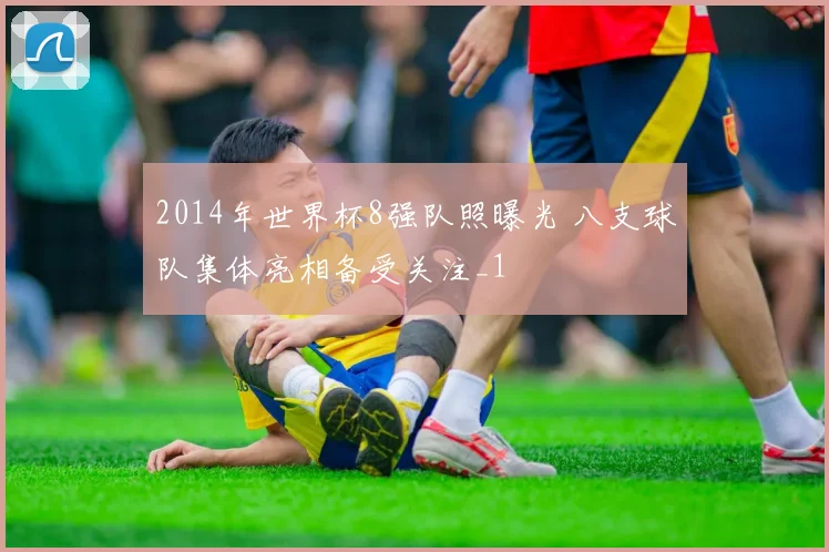 2014年世界杯8强队照曝光 八支球队集体亮相备受关注_1