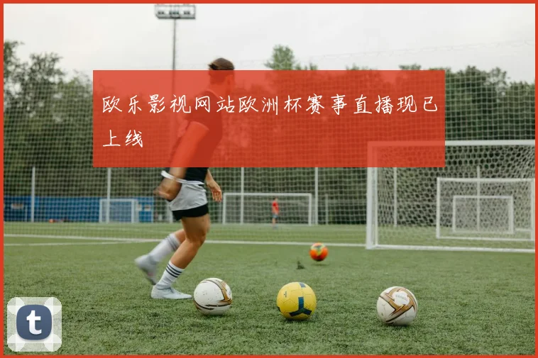 欧乐影视网站欧洲杯赛事直播现已上线