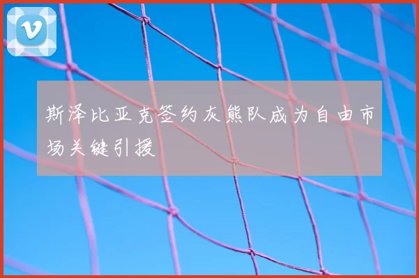 斯泽比亚克签约灰熊队成为自由市场关键引援