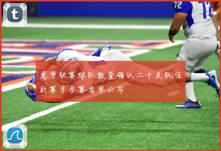 意甲联赛球队数量确认二十支队伍新赛季参赛名单公布