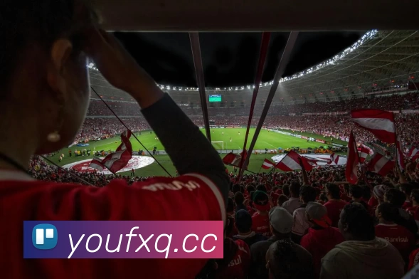 多媒体互动体验